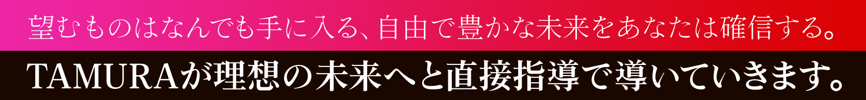 望むものはなんでも手に入る、自由で豊かな未来をあなたは確信する。TAMURAが理想の未来へと直接指導で導いていきます。
